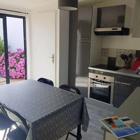 Appartement D'une A Plage A 500 M De La Plage Avec Piscine Partagee Jardin Clos Et Wifi
