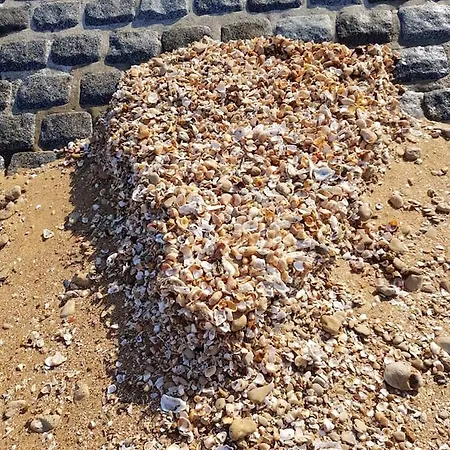 Appartement D'une A Plage A 500 M De La Plage Avec Piscine Partagee Jardin Clos Et Wifi *