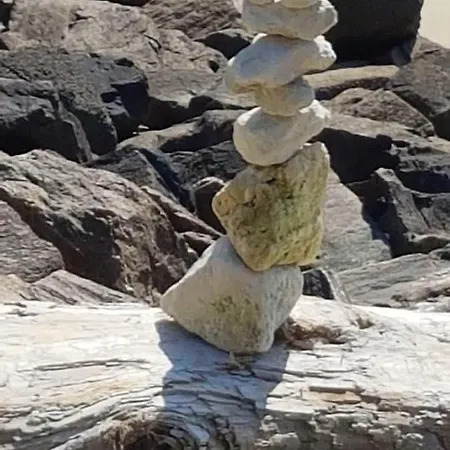D'une A Plage A 500 M De La Plage Avec Piscine Partagee Jardin Clos Et Wifi *